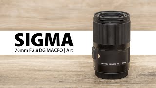 When I tried out the razor macro 