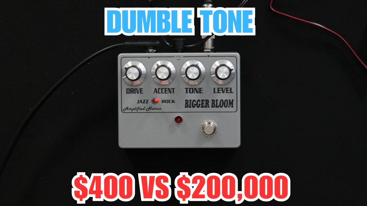 Bigger Bloom Overdrive - Amplified Nation