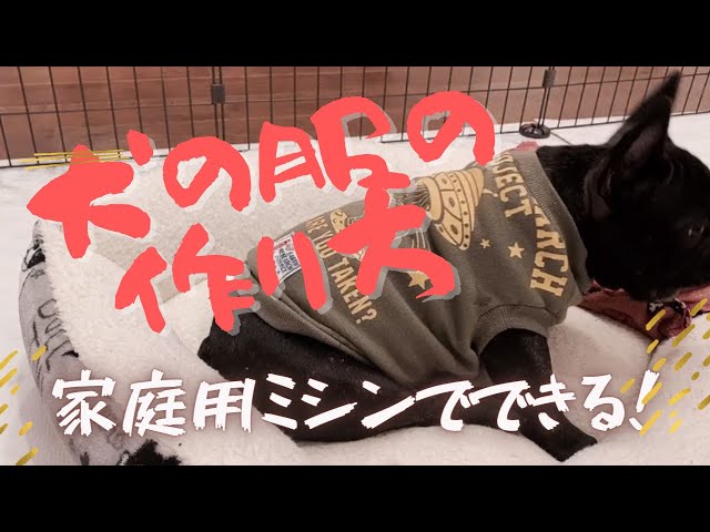 ○犬服○ハンドメイド 胴64 NO.488 フレブル ○犬服○ハンドメイド 胴