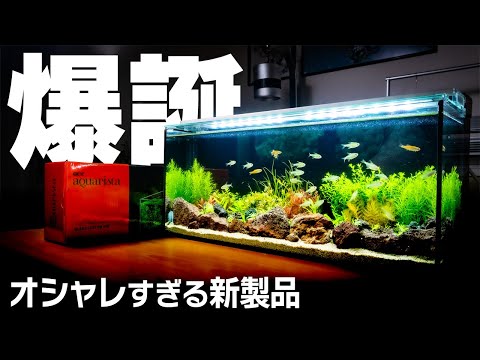 New Products] Fastest review of the newest filter GEX Glass Custom