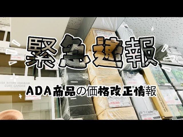 超緊急速報！ADAがやっちゃってくれました！この情報を知らないで買う