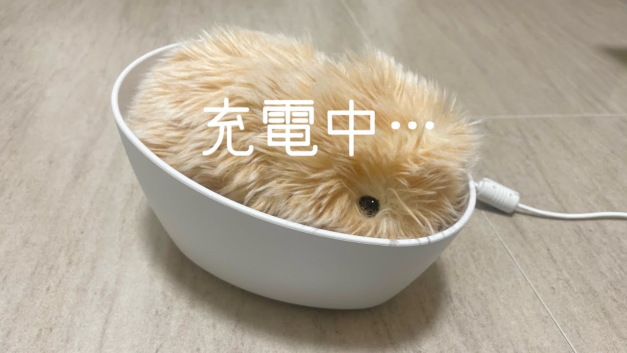 Moflin シルバー ※充電ができません Moflinをハウスに置いて充電する