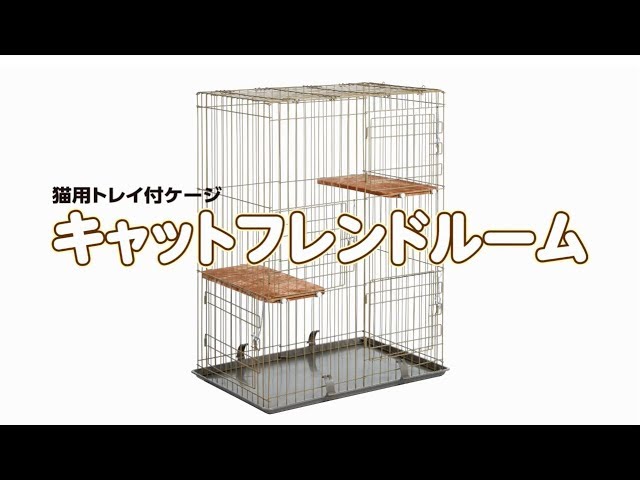 キャットフレンドルーム - YouTube