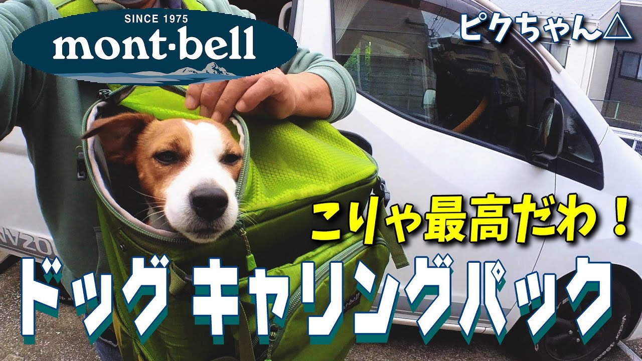 Montbell Dog Gear] Dog Carrying Pack is the Best