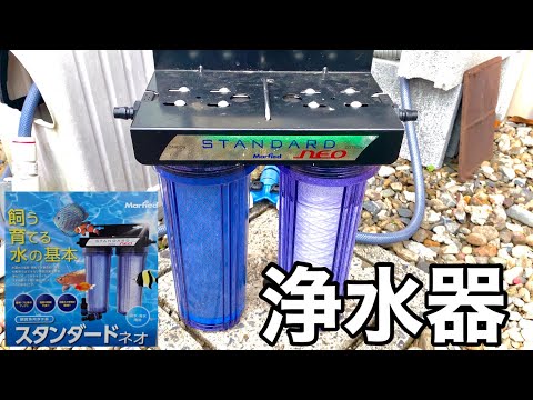 カルキ抜き不要】マーフィードスタンダードネオを使ってメダカ水槽の水