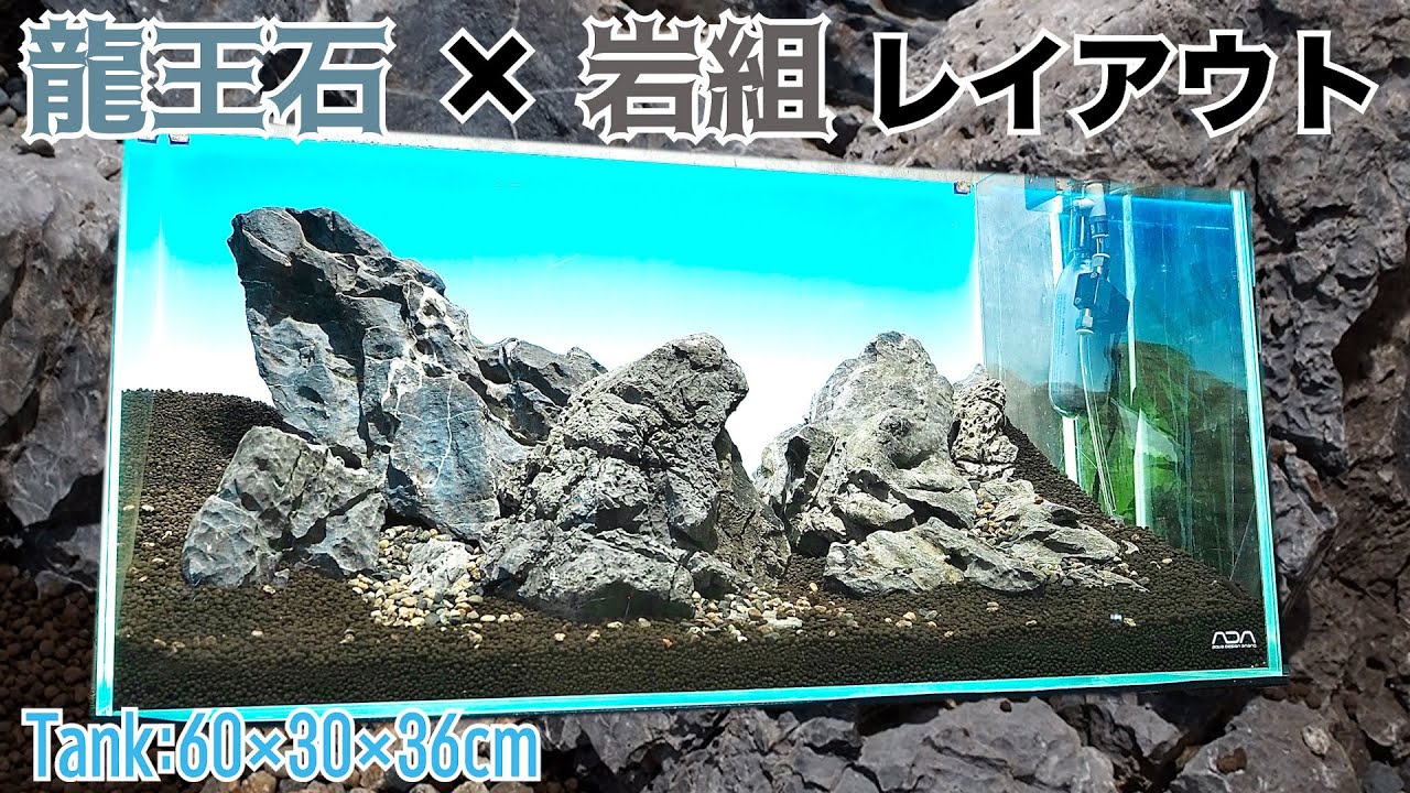 ADA 龍王石 ADA 龍王石 水槽用石 自然形状 ADA LAYOUT MATERIAL 「石」 |