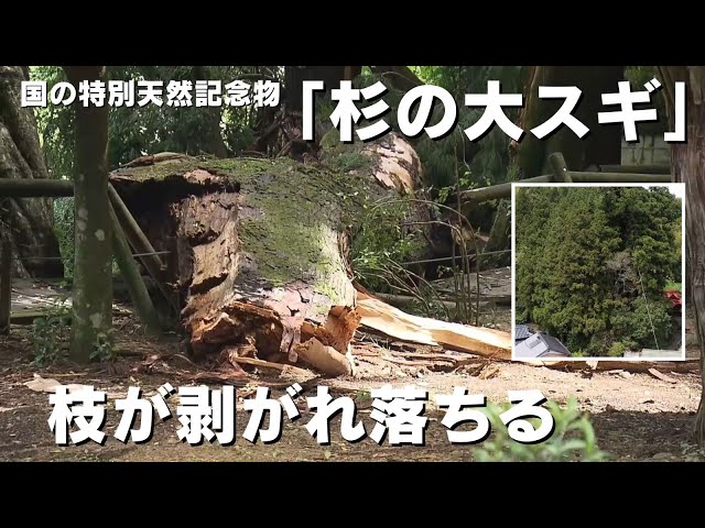 A branch of the national special natural monument, Ootoyo Town's