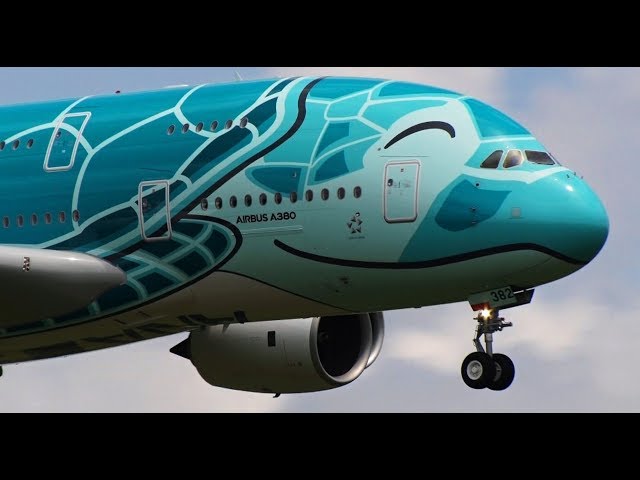 Phoenix ANA A380 フライング・ホヌJA382A Phoenix ANA A380