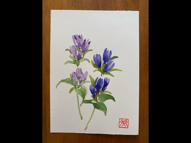 誰でも描けるハガキ絵💕【竜胆・リンドウ】水彩画・花・手書き・初心者