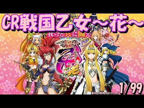CR 戦国乙女 花 99ver セルのみ OP有 【公式通販】
