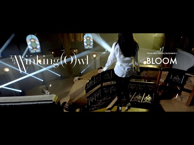 The Winking Owl ウィンキングオウル サイン ＋ オマケ New The