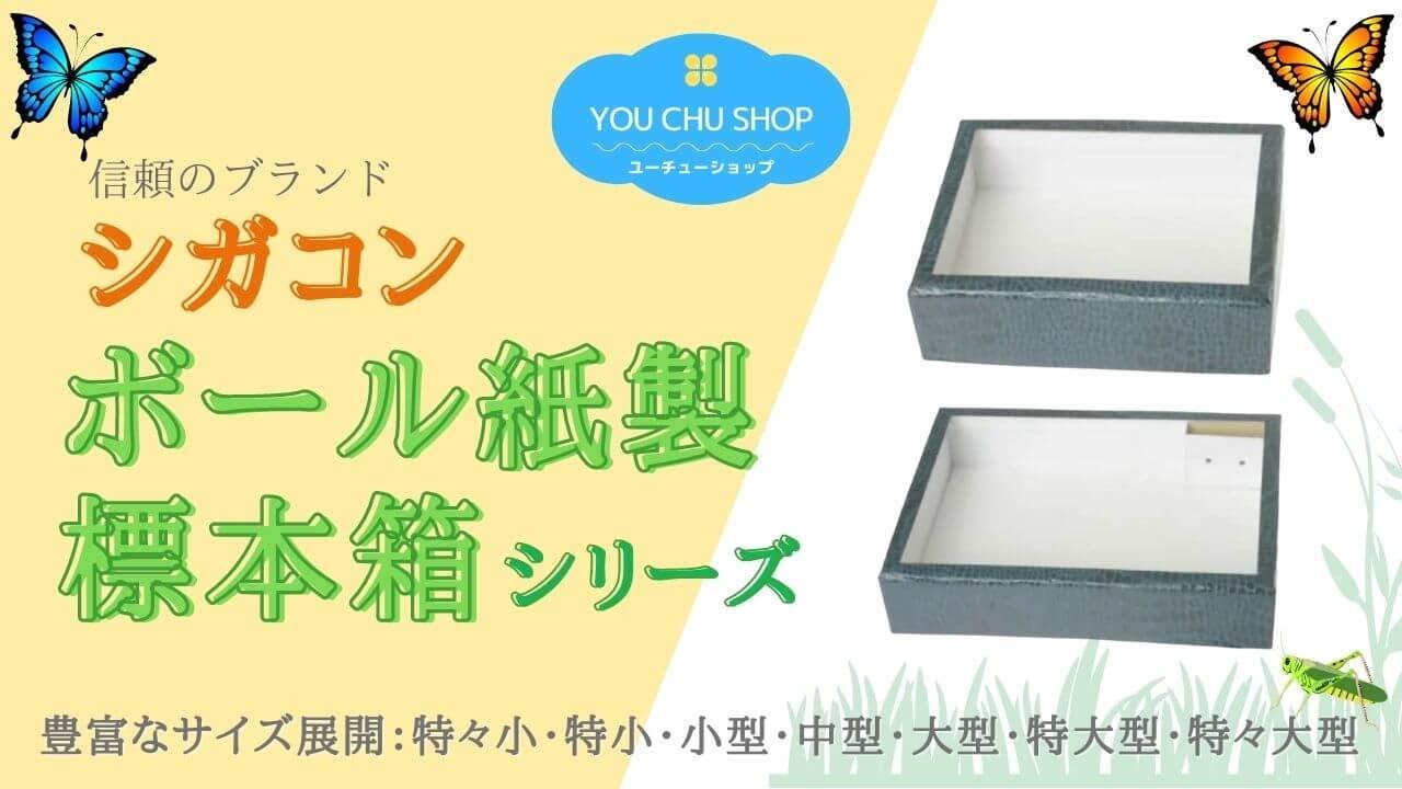 志賀昆虫普及社（シガコン）ボール紙製標本箱 - YouTube