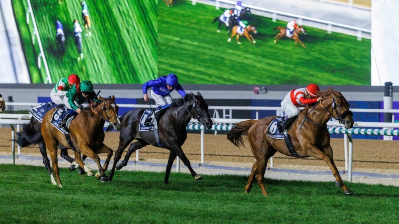 Dubai Sheema Classic 2006 G1 - Heart's Cry - YouTube