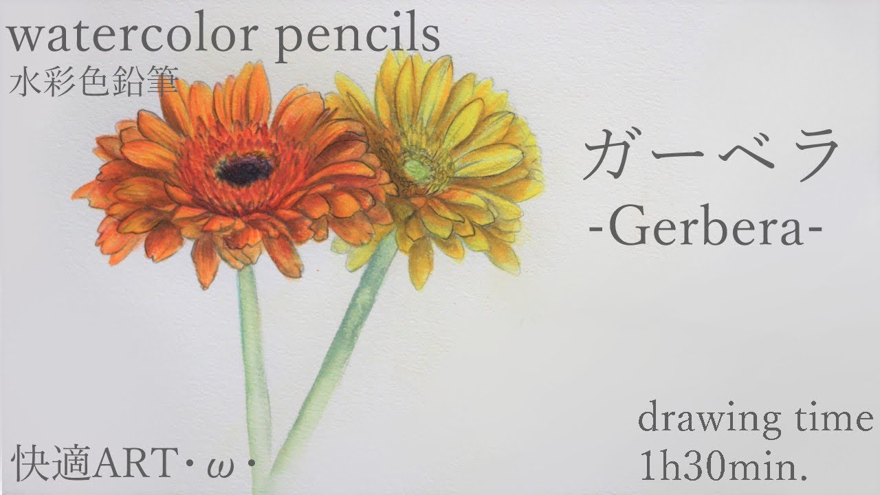 IKEAの花瓶とガーベラの鉛筆画 IKEAの花瓶とガーベラの鉛筆画 美術品