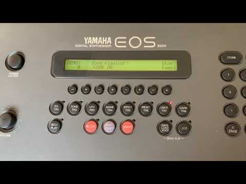 YAMAHA EOS B200 DEMO SONG / VOICE CARD RCD1000 