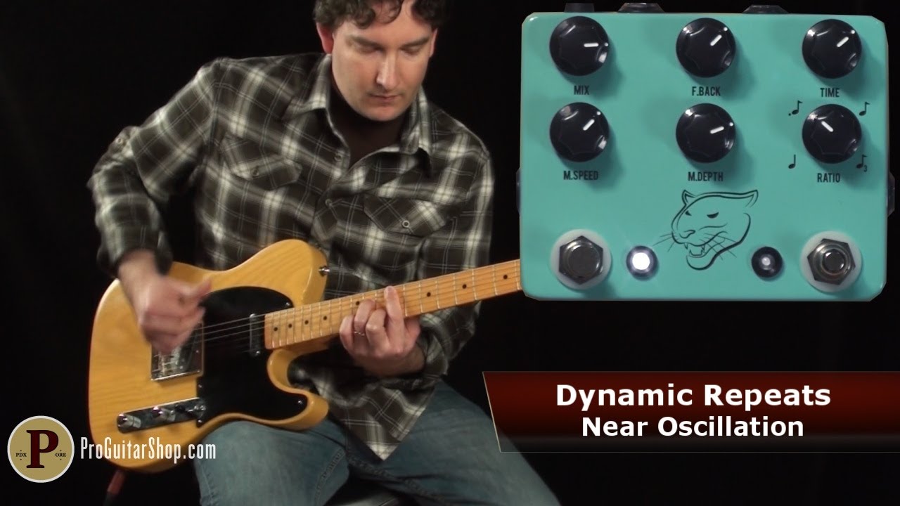 JHS Panther Cub Analog Delay - YouTube