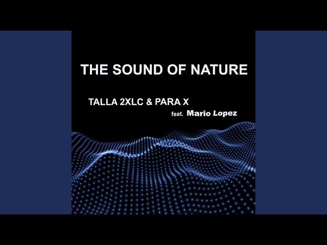 The Sound of Nature (Extended 2k20 Mix) - YouTube