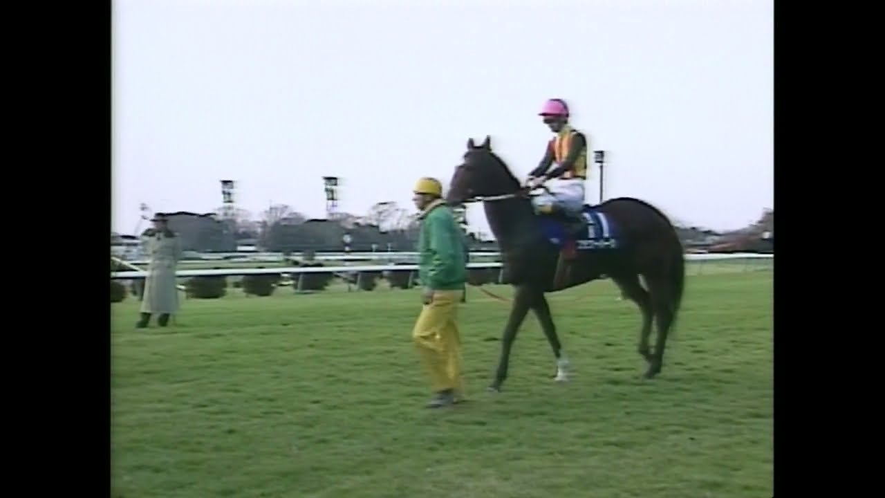 1996 Sprinters Stakes (GⅠ) | Flower Park | JRA Official - YouTube