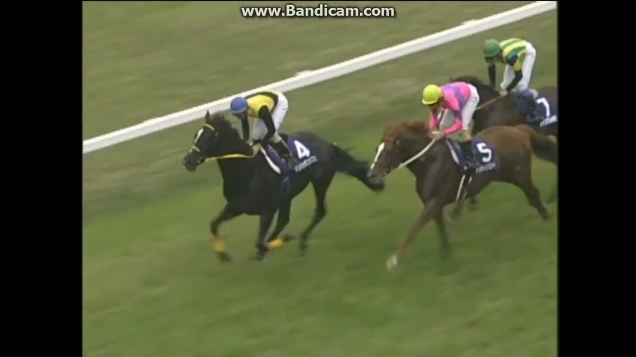 現地単勝マンハッタンカフェ 天皇賞春2002年100円 現地単勝