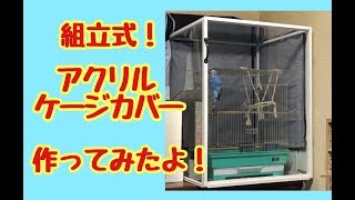 アクリルケージカバー作ってみたよ！【セキセイインコ】 - YouTube