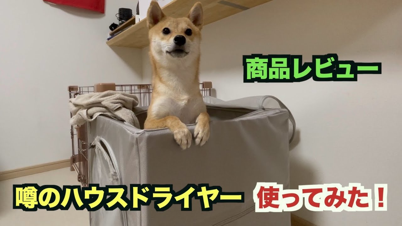 話題のドライハウス使ってみた！ - YouTube