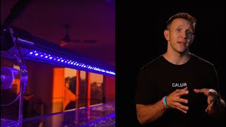 Illumagic Vitamini Strip Lights - YouTube