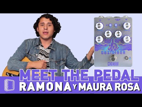 Paradox Effects | Meet The Pedal - Obsidiana - YouTube