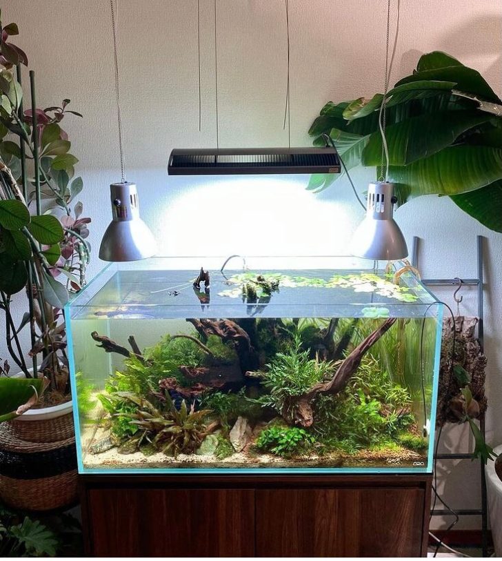 ADA ソーラーRGB 水草 ライト led 水槽 アクアリウム】水草水槽にADA