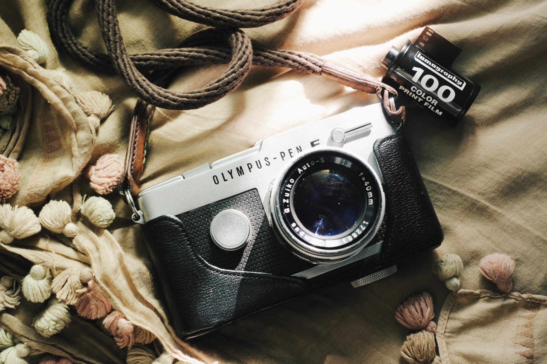 作例レビュー】OLYMPUS PEN FT｜オリンパスのフィルムカメラ｜#わたし