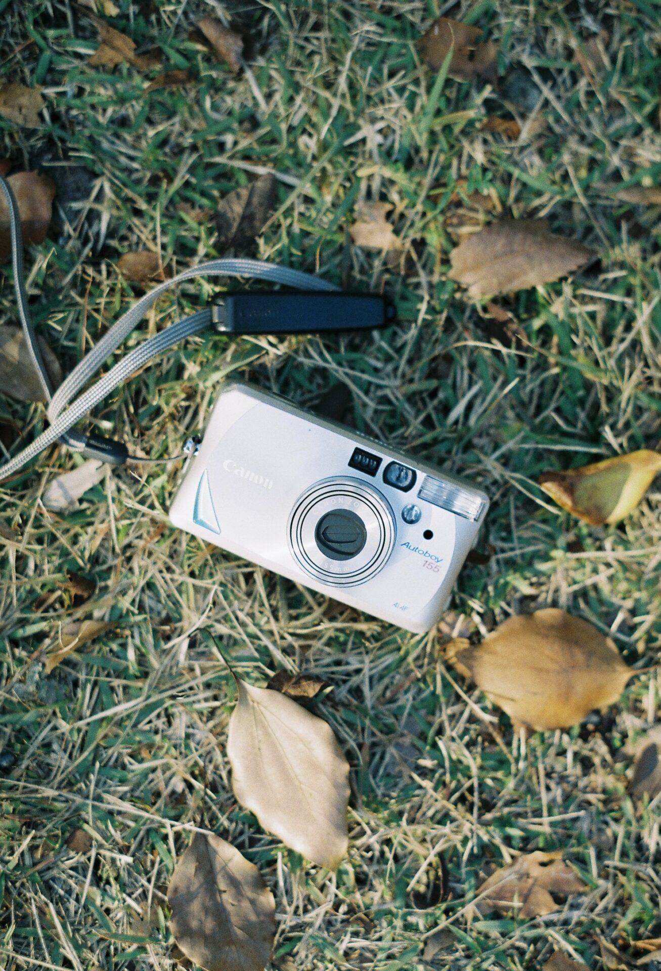 作例レビュー】Canon Autoboy 155｜#わたしのカメラ｜キャノンの