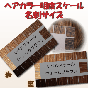 ヘアカラー明度スケール 名刺サイズ ベーシックブラウン ウォーム