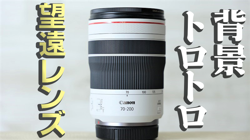 1年使用レビュー】RF70-200mm F4 L IS USM｜F4は暗い？実写でわかった