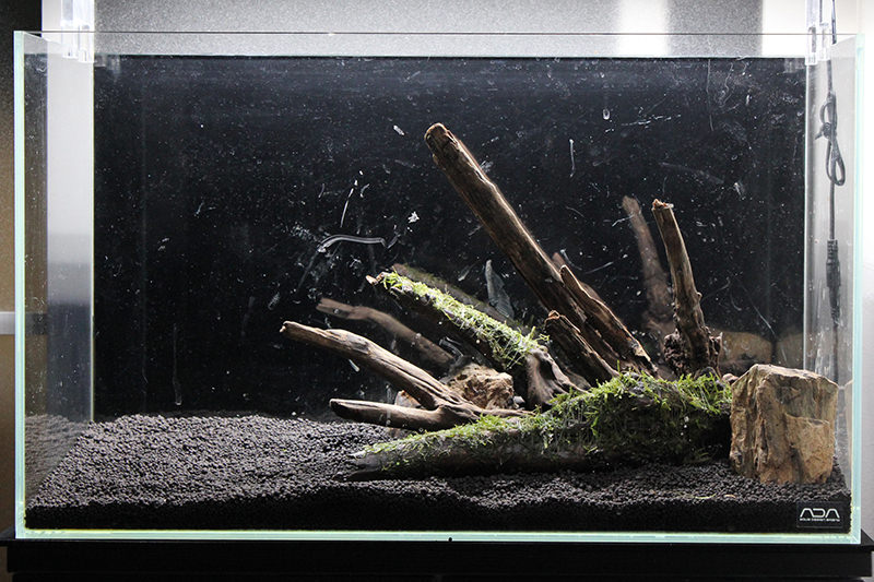 未使用ADA 水槽 30cmキューブ キューブガーデン SheltaCrafta 未使用