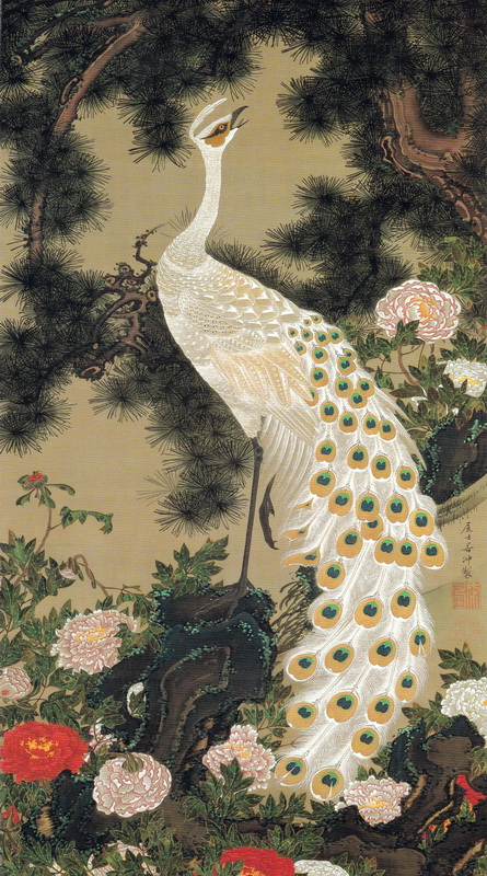 動植綵絵 09 老松孔雀図 Rosho Kujaku-zu(Old Pine Tree and Peacock
