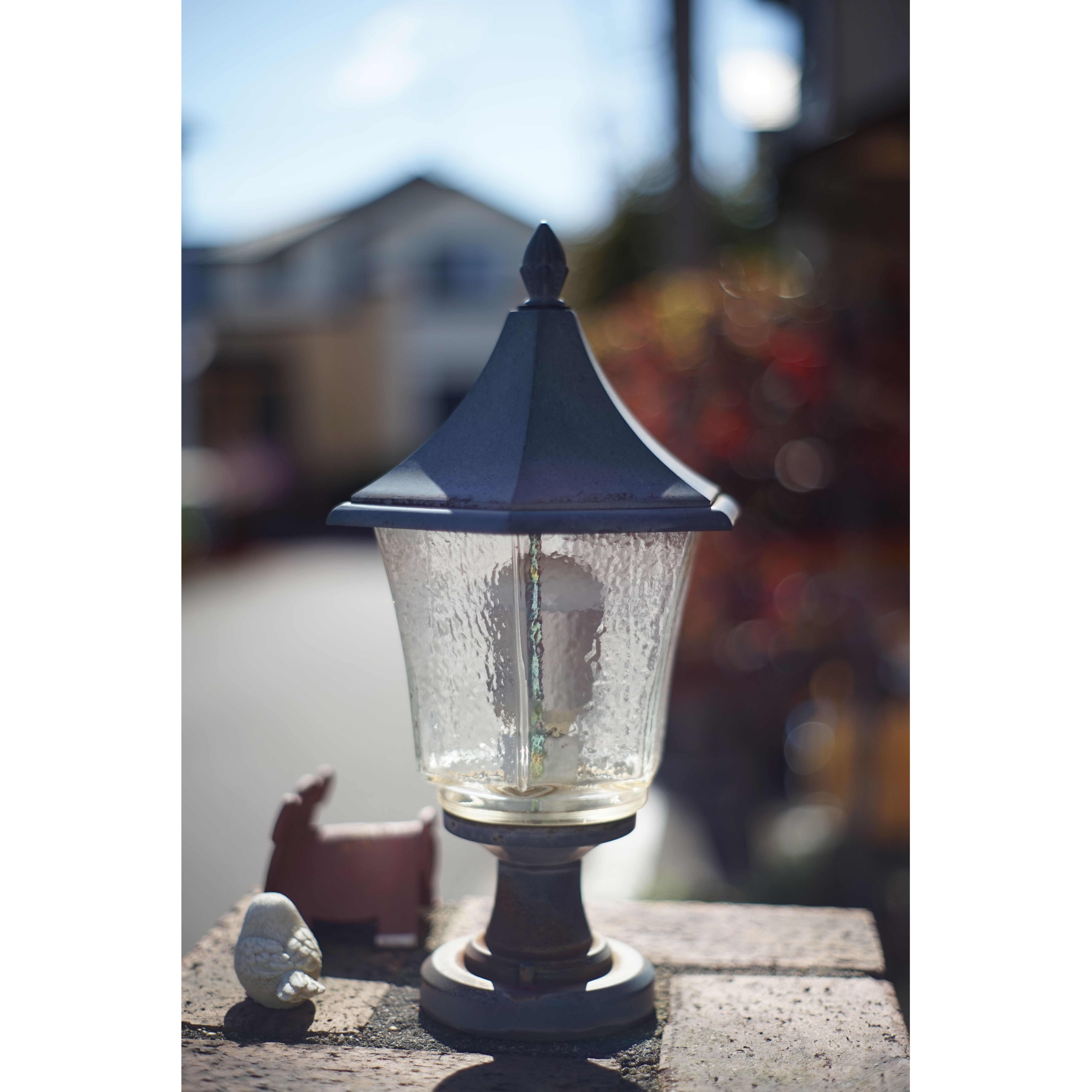 ミノルタ SRT101 & MC ROKKOR-PF 50mm F1.7 #55 ミノルタ SRT101 & MC