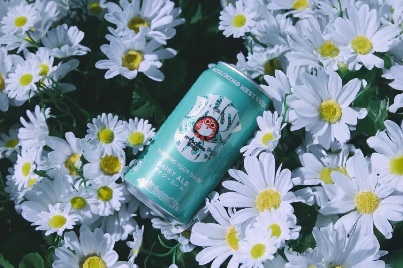 アンバサダーはG-DRAGON！｢常陸野ネストビール デイジーエール｣発売