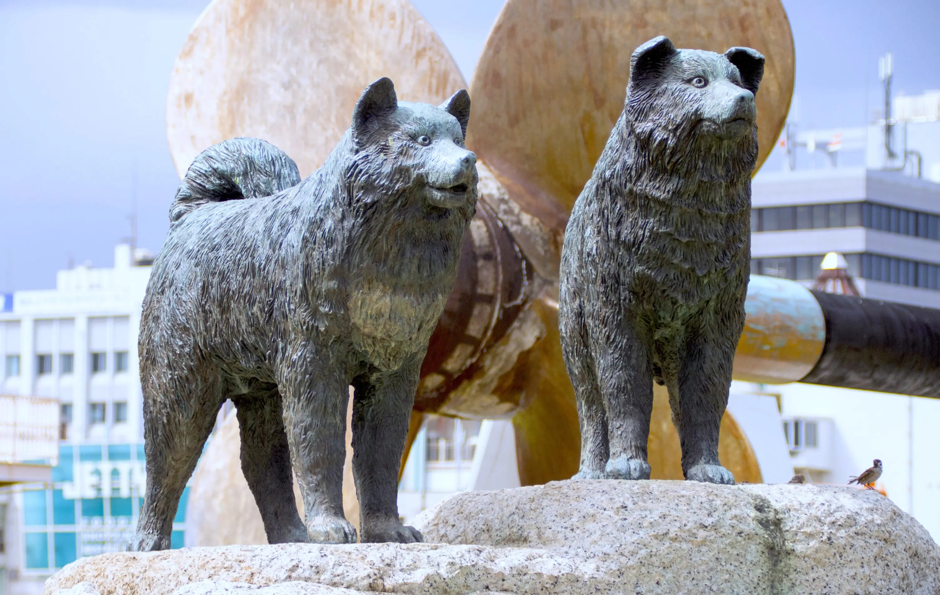 富永直樹 タロジロ 平成5年9月作品 富永直樹 タロジロ 平成5年9月作品