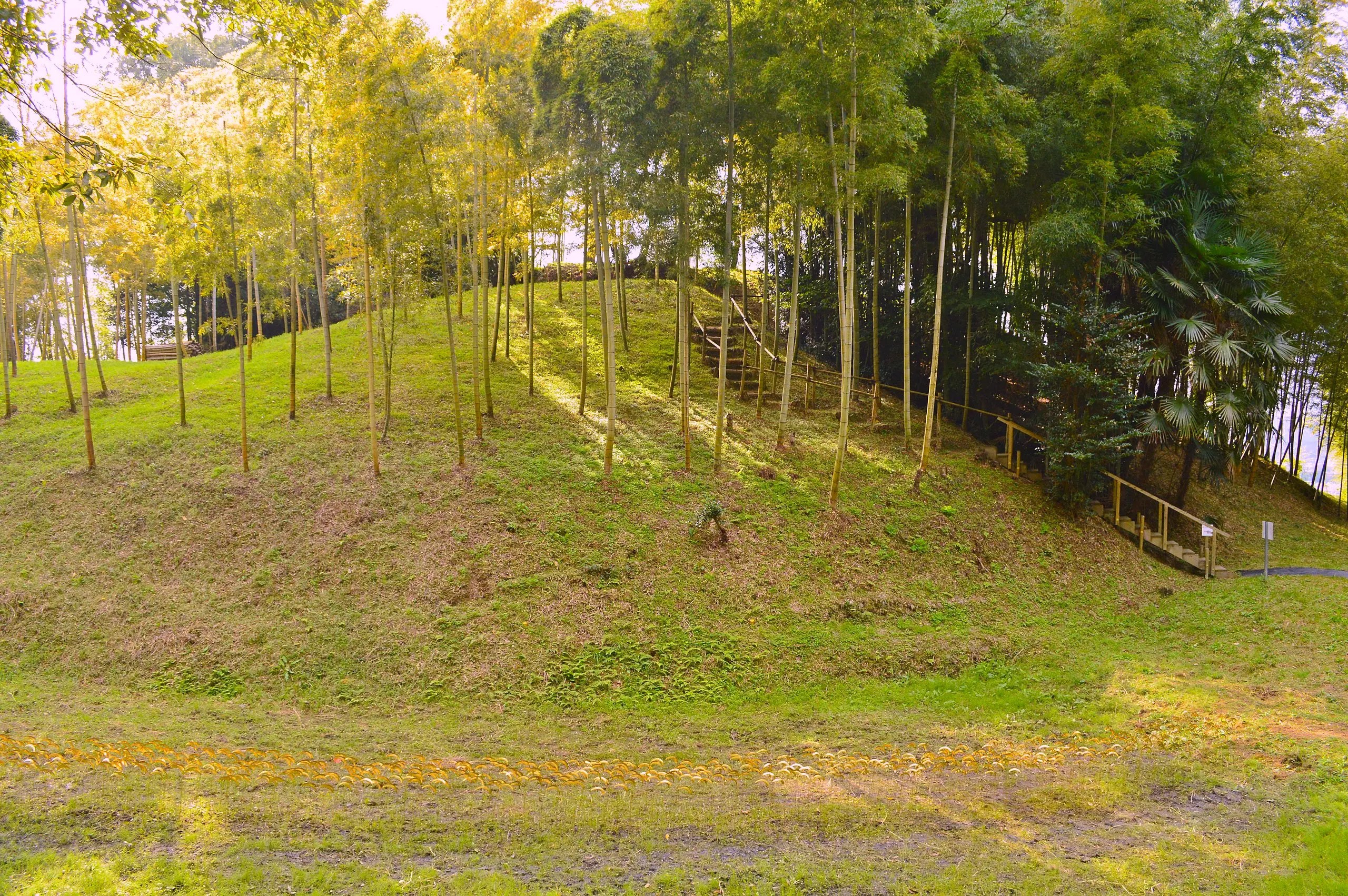 KY034101.jpg?fit=2560,1702&ssl=1