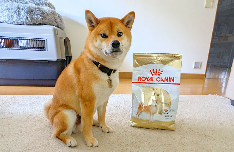 ロイヤルカナン柴犬成犬用8kg×2袋 ☆ ロイヤルカナン 柴犬 成犬