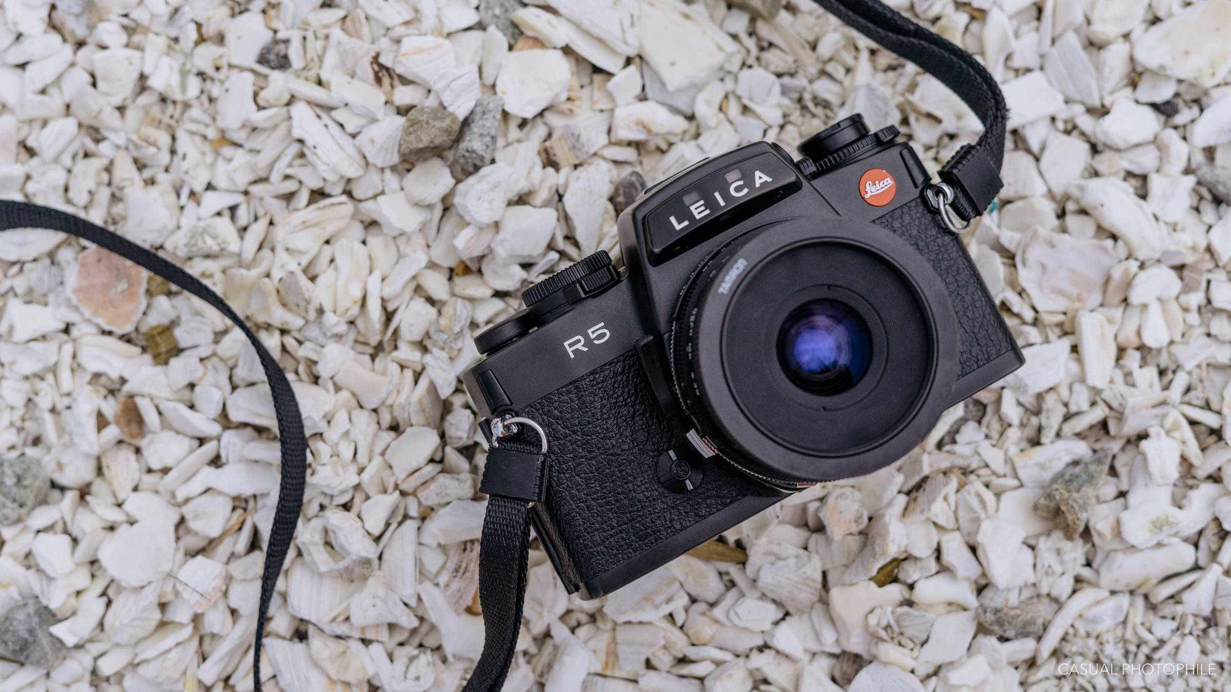 Shooting Martha's Vineyard with the Leica R5 and Kodak Ultramax