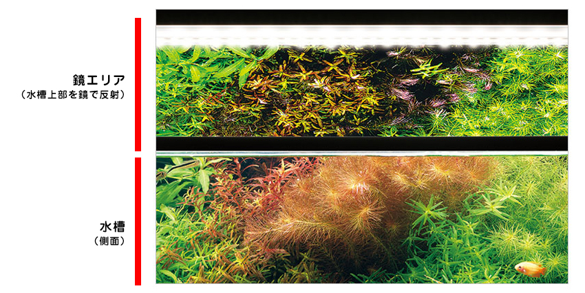 ADAから新商品！水槽用LED照明「アクアスカイ・ムーン」の概要と従来品