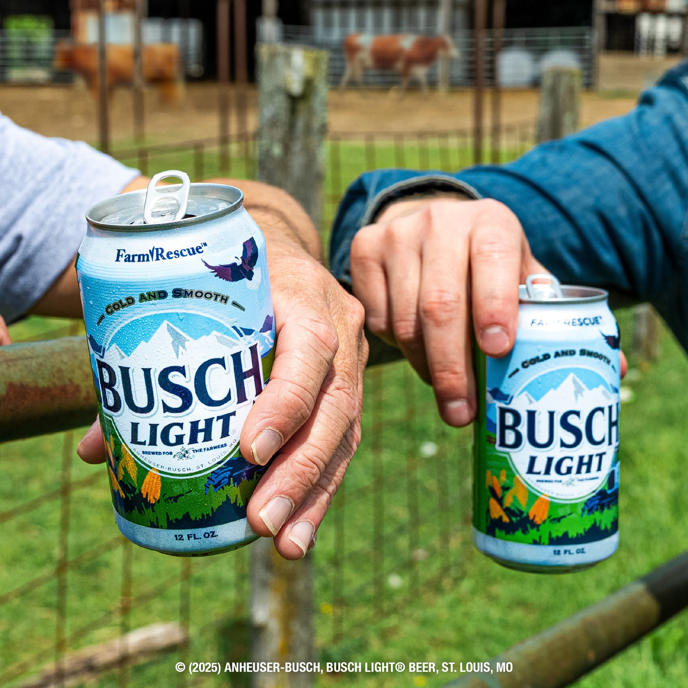 人気ビール 日本未発売 アメリカ BUSCH LIGHT ブッシュライト 30缶