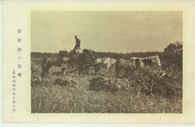 戦後80年の歴史 戦前の絵葉書 恵存 満洲帝国政府 戦後80