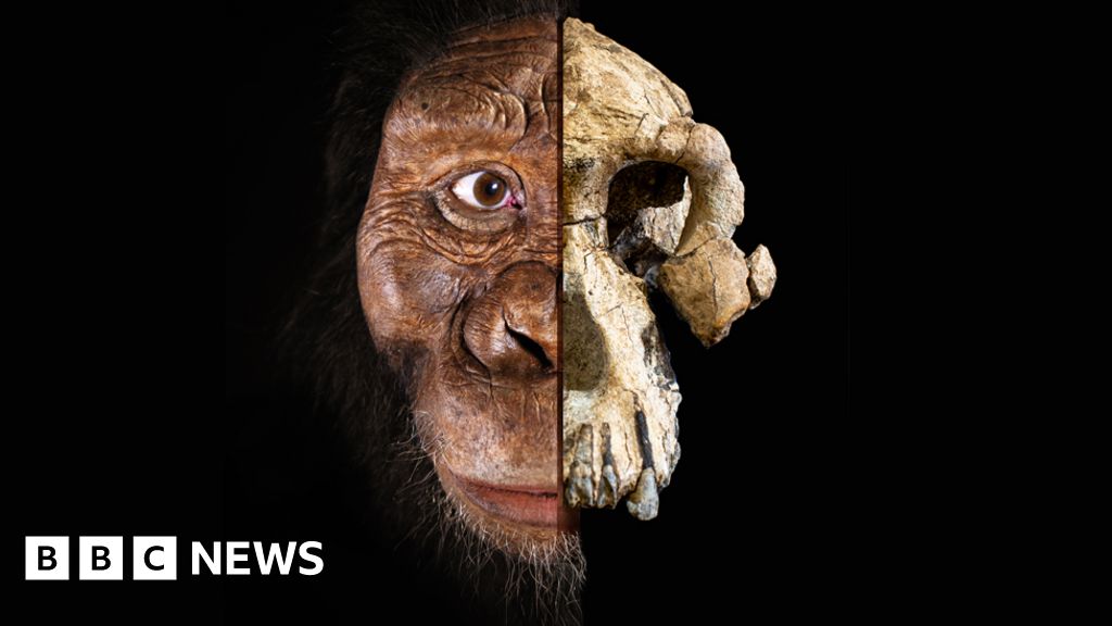 All bets now off' on which ape was humanity's ancestor