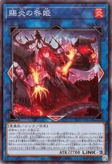 遊戯王 カラクリ蝦蟇 四六弐四 カラクリ蝦蟇 四六弐四【遊戯王トレカお