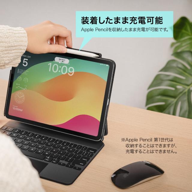 iPad Pro 10.5 256GB Apple pencil セット 節約 iPad Pro (10.5”) Wi