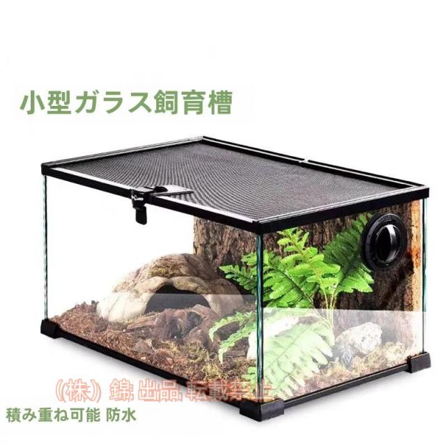 小型爬虫類飼育セット Amazon | GEX EXOTERRA レオパ飼育キット GT3030