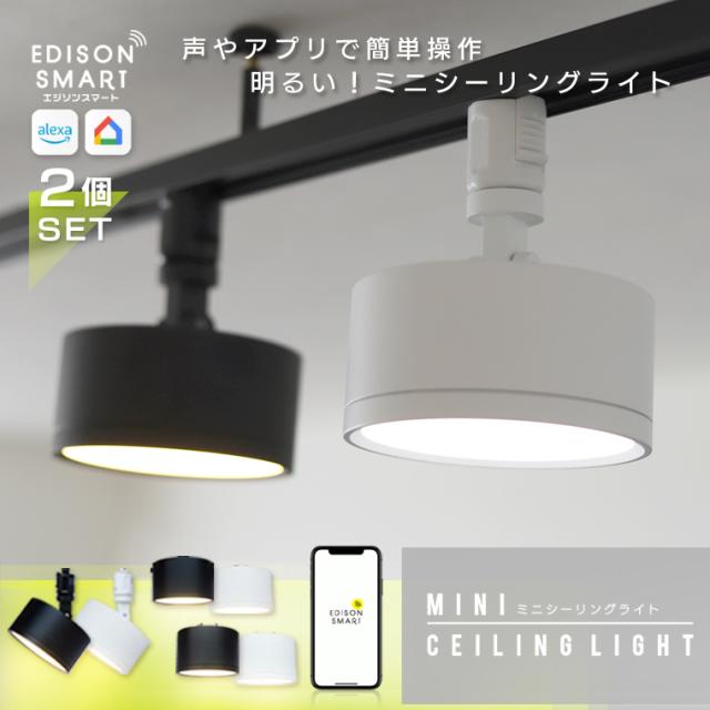 卸売 照明 シーリングライト2個セット IKEA・luminousシーリング