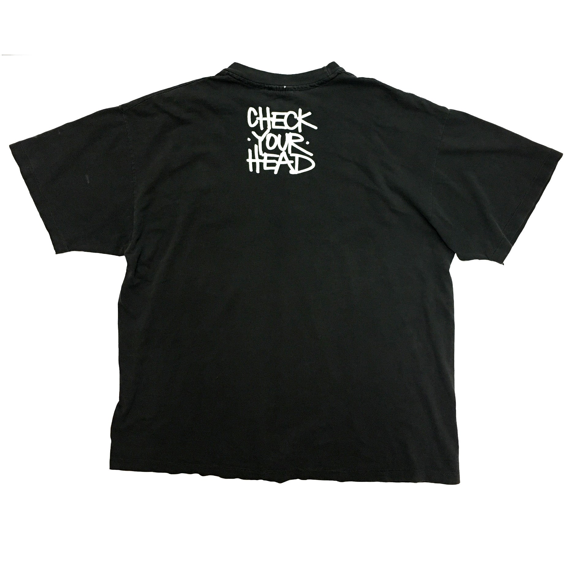 VINTAGE BEASTIE BOYS CHECK YOUR HEAD T-SHIRT – Ignored Prayers