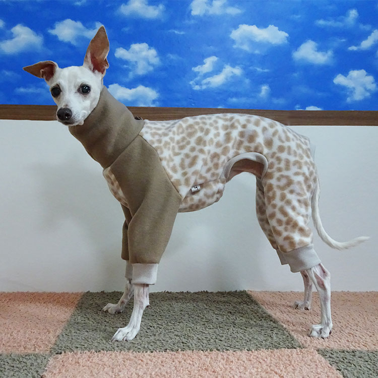 ヒョウ柄（レオパード）のイタグレ服！ - イタグレの服、新着商品情報